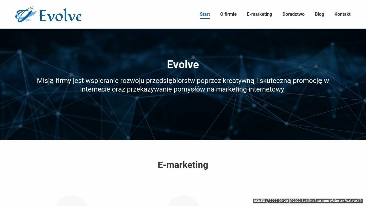 Usługi marketingu internetowego dla firm (strona evolve-poznan.pl - Evolve Poznań)