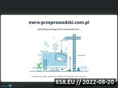 Miniaturka domeny www.ewro-przeprowadzki.com.pl