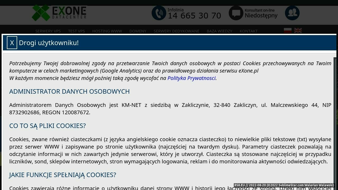 Zrzut ekranu Hosting, Serwery, Domeny - eXone.pl