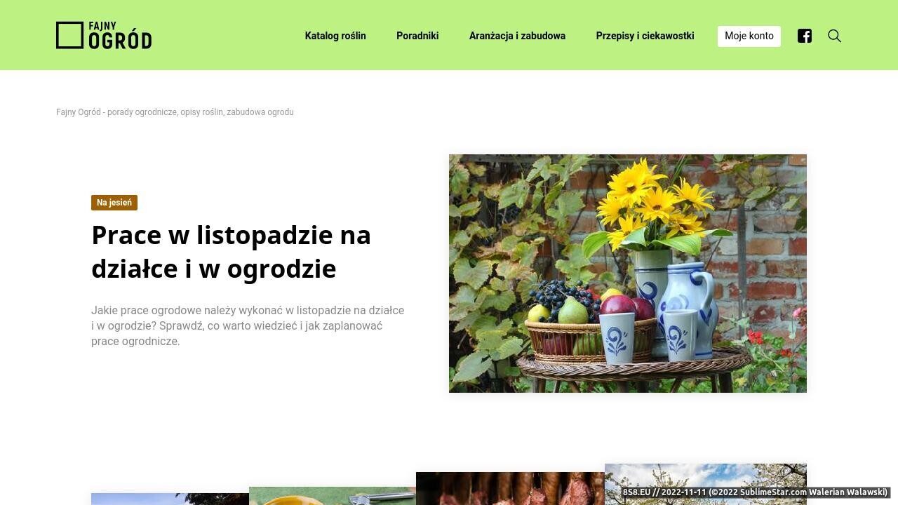 Blog z poradami dotyczącymi ogrodów (strona fajnyogrod.pl - Fajny Ogród)