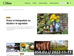 Miniaturka fajnyogrod.pl (Blog z poradami dotyczącymi ogrodów)