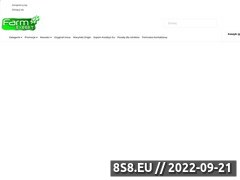 Miniaturka farmexpert.pl (Części do maszyn rolniczych)
