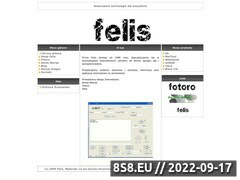 Miniaturka domeny felis-net.com