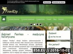 Miniaturka domeny fenikso.pl
