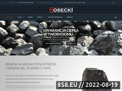 Miniaturka domeny fhu-kosecki.pl