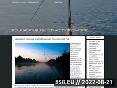 Miniaturka strony Szkoa Nurkowania Firefish.pl Gdask