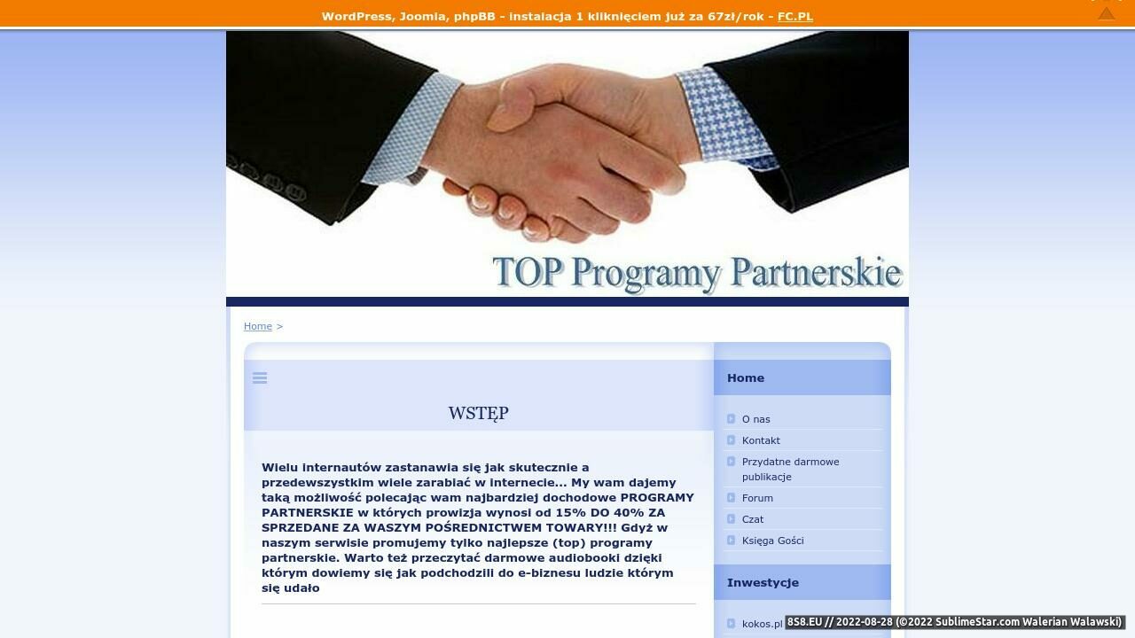 Zrzut ekranu Top Programy Partnerskie -