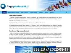 Miniaturka domeny flagi-producent.pl