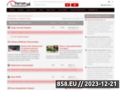 Miniaturka forumsamochodowe.pl (Porady w zakresie naprawy i kupna samochodów)