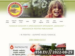 Miniaturka domeny www.fundacjaagnieszka.pl