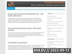 Miniaturka www.fundusze-emerytalne.org.pl (Informator o funduszach emerytalnych)