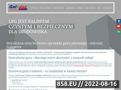 Miniaturka domeny www.gal-gaz.pl