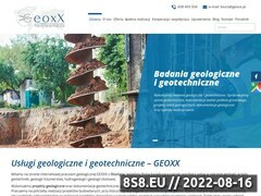 Zrzut strony Geoxx geologia złożowa