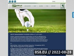 Miniaturka domeny golfpilki.pl
