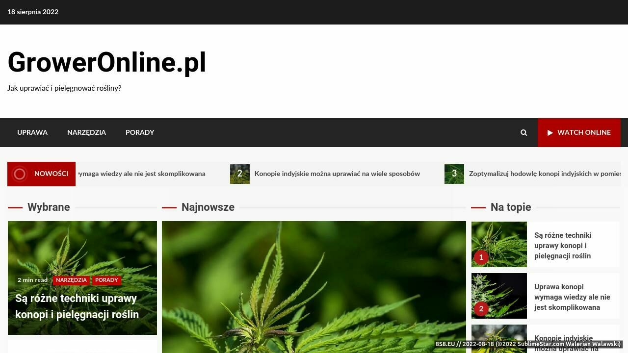 Internetowy GrowShop (strona groweronline.pl - Filtry węglowe)