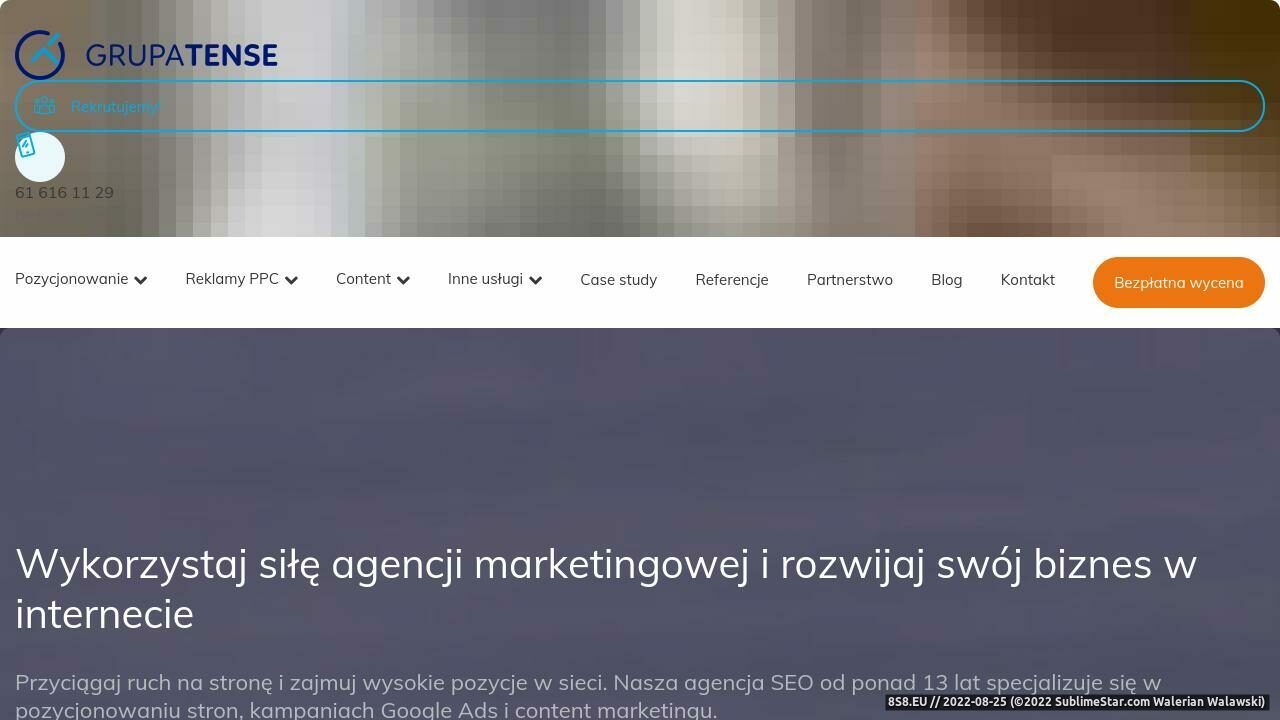Zrzut ekranu Pozycjonowanie stron WWW