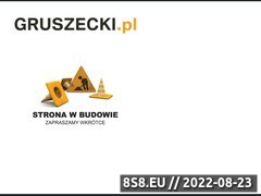 Miniaturka domeny www.gruszecki.pl