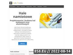 Miniaturka domeny hale-proeko.pl