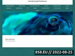 Miniaturka domeny hb-freelancer.pl