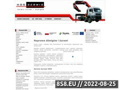 Miniaturka domeny www.hds-serwis.pl