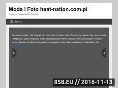 Miniaturka heat-nation.com.pl (Miami Heat)