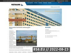Miniaturka domeny hofmann.com.pl