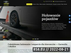 Miniaturka domeny holowanie.mazowsze.pl