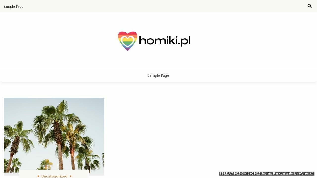 Zrzut ekranu Portal pozytywnie homoseksualny