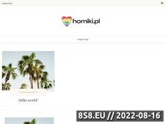 Miniaturka homiki.pl (Portal pozytywnie homoseksualny)