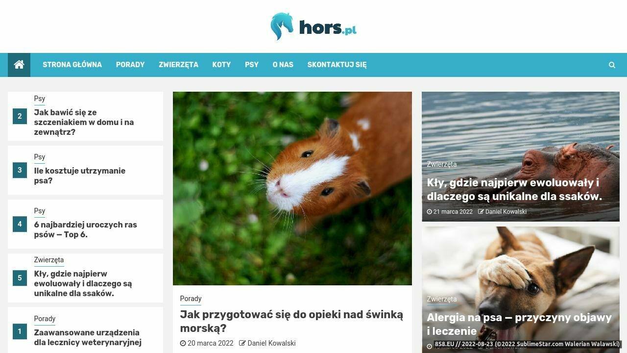 Zespół Muzyczny Hors (strona www.hors.pl - ślub)