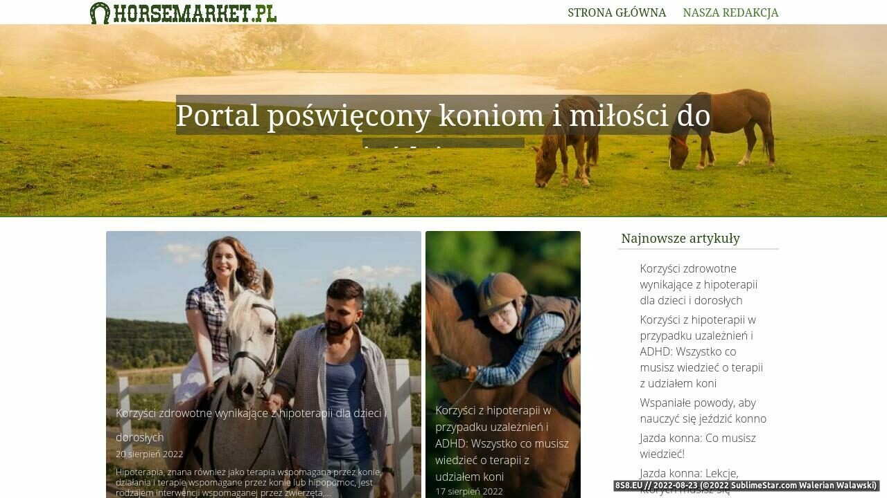 Konie. Jazda konna - jeździectwo (strona www.horsemarket.pl - Horsemarket.pl)