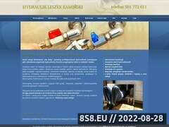 Miniaturka domeny hydraulik.gdansk.pl