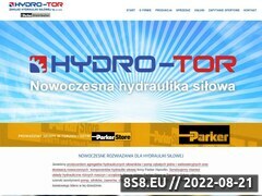 Miniaturka domeny hydro-tor.pl