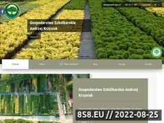 Miniaturka iglaki.agro.pl (Szkółka drzew liściastych)