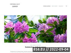 Miniaturka strony ImponujacyOgrod.pl-Projektowanie ogrodow,nawadnianie,hurtownia narzędzi