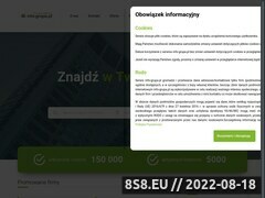 Miniaturka domeny info-grupa.pl