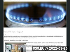 Miniaturka domeny inogaz.pl