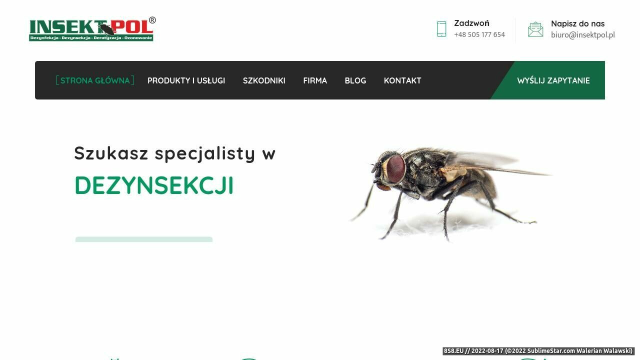 Insektpol - deratyzacja, dezynfekcja, dezynsekcja (strona insektpol.pl - Insektpol.pl)