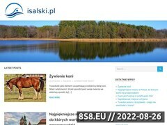 Miniaturka domeny www.isalski.pl