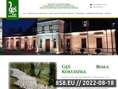 Miniaturka domeny izzd-koluda-wielka.com.pl