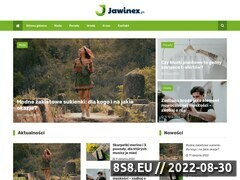 Miniaturka www.jawinex.com.pl (Producent odzieży dla puszystych)