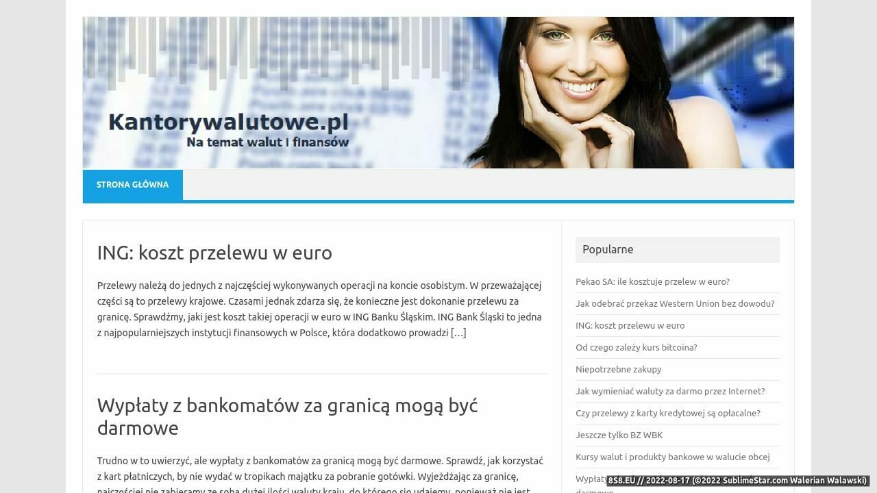 Zrzut ekranu Kantory walutowe online