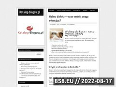 Miniaturka domeny katalog-blogow.pl