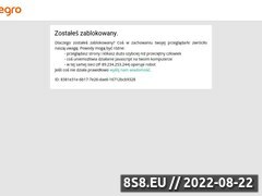 Miniaturka domeny www.klockidwa.pl