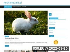 Miniaturka domeny kochamszale.pl