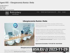 Miniaturka kolczynscy.pl (Ubezpieczenia majątkowe i komunikacyjne)