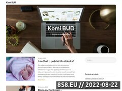 Miniaturka domeny www.komibud-kominki.pl