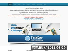 Zrzut strony Serwis komputerowy w Toruniu