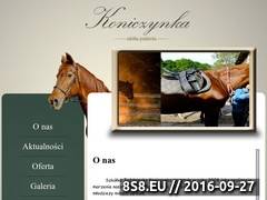 Miniaturka www.koniczynka-konie.pl (Obozy konne dla młodzieży)