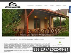 Miniaturka domeny www.kopalino-domki.com.pl